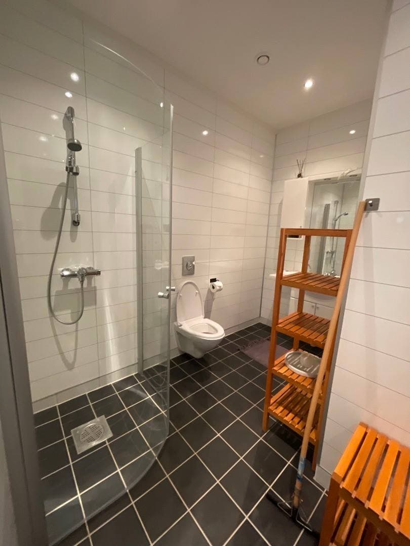 Badrum med walk-in-dusch och toalett